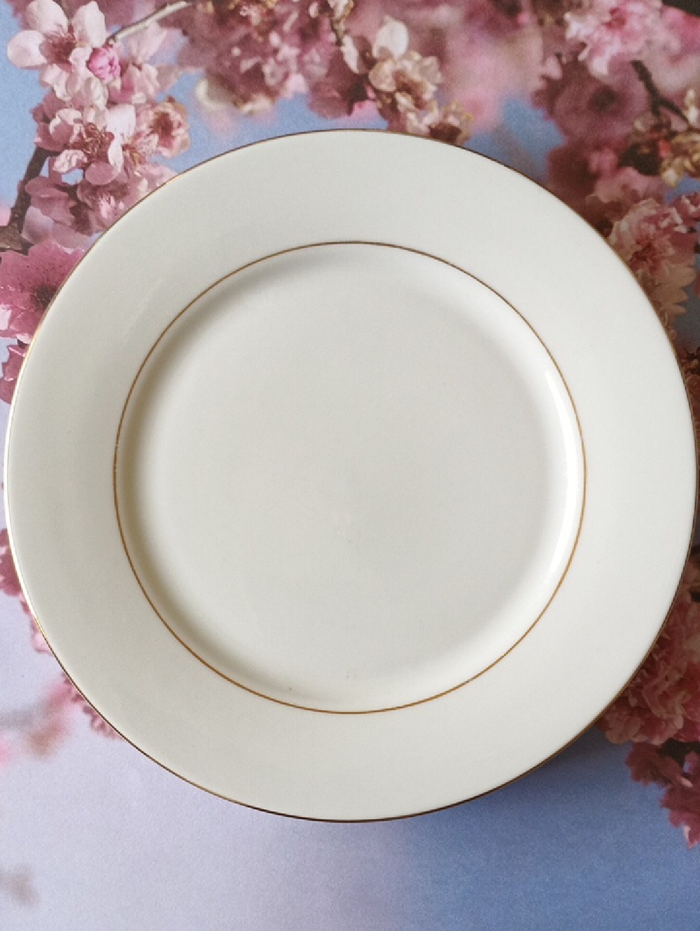 Classic White Porcelain Dinner Plate with Gold Rim - Home Dining
